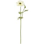 シャルルアネモネ MAGIQ(東京堂)