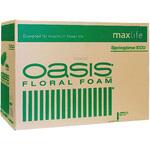 ブラックエコ スプリングタイム48コ maxlife 東京堂