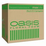 ブラックエコ スプリングタイム12コ maxlife 東京堂