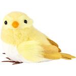 カラフルバード 東京堂