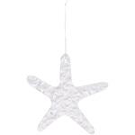 クリアスターフィッシュ 東京堂