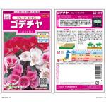 ゴデチヤ ジューン ミックス サカタのタネ
