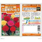 久留米けいとう 切り花用 混合 サカタのタネ