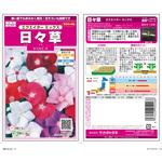 日々草 エクエイター ミックス サカタのタネ