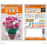 コスモス ドワーフセンセーションミックス サカタのタネ