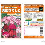 美女なでしこ 切り花用混合 サカタのタネ