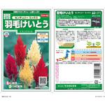 羽毛けいとう センチュリーミックス サカタのタネ