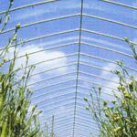 ソルーチェ 原反 MKVアドバンス(旧三菱ケミカルアグリドリーム)