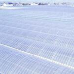 ノービエースみらいON 原反 MKVアドバンス(旧三菱ケミカルアグリドリーム)