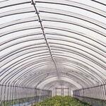 ムテキムサシON 原反 MKVアドバンス(旧三菱ケミカルアグリドリーム)