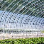 ダンビーノ 原反 MKVアドバンス(旧三菱ケミカルアグリドリーム)