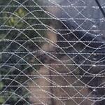 ウェーブロックムテキ 原反 MKVアドバンス(旧三菱ケミカルアグリドリーム)