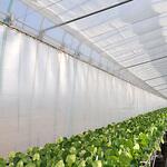 サニーコートソフト 宇部エクシモ