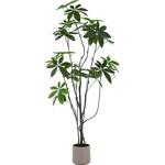 フェイクグリーン パキラ 150cm ジョイント 不二貿易