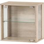 コレクションボックス(前・側板ガラス) オーク 不二貿易