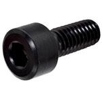 ソケットヘッドスクリュー(810) SANDVIK