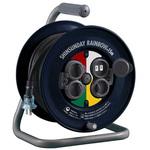 シンサンデーレインボーリール ハタヤリミテッド