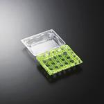 15-12 ラタンGN フードパック リップル 中央化学