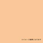 023228 ウッドラックパネル カラー ベージュ 5mm厚 760×1080 色板 40枚梱包 デュポン・スタイロ(旧ダウ化工)