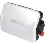 ガンツ 3色調色小型投光器 充電池交換式【GZ-307】 GENTOS