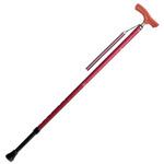 和彩 花鳥風月 ワイン シナノ