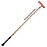 和彩 花鳥風月 ベージュ シナノ