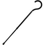 ハテナカーボン シナノ