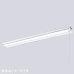ELR44001DNPPN9 LEDioc LEDベースライト (LEDユニット一体形) 40W形笠付形 FLR40形相当 4000Lmタイプ 2灯用相当 (プルスイッチ付) 岩崎電気