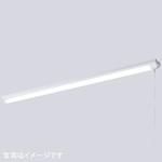 ELT44001DNPPN9 LEDioc LEDベースライト (LEDユニット一体形) 40W形 トラフ形 FLR40形相当 4000Lmタイプ 2灯用相当 (プルスイッチ付) 岩崎電気