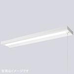 ELD44001DNPPN9 LEDioc LEDベースライト (LEDユニット一体形) 40W形直付形 ＜25mm幅＞ FLR40形相当 4000Lmタイプ 2灯用相当 (プルスイッチ付) 岩崎電気