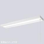 ELD42001CNPPN9 LEDioc LEDベースライト (LEDユニット一体形) 40W形直付形 ＜25mm幅＞ FLR40形相当 2000Lmタイプ 1灯用相当 (プルスイッチ付) 岩崎電気