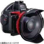 PTEP14_8mm.jpg
