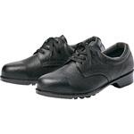 安全靴(501) アイトス