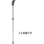 ノルディックウォーキングポール キザキ