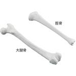 ナビトレ ボーンモデル ナビス(アズワン)