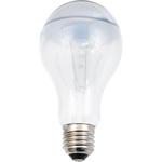 道路交通信号機用電球 Panasonic(パナソニック) シリカ電球