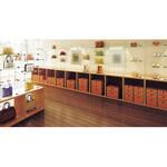 ロッドディスプレイシステム ARC4308 LAMP(スガツネ工業)