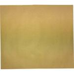 050101 レントゲン袋 No．1 キングコーポレーション