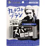 そうじの神様 カッチコチブラシ KBセーレン