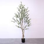 フェイクグリーン 215cm オリーブ エルブレイン