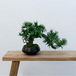 フェイクグリーン 盆栽 松1「小龍」 幹は天然木、葉と枝はフェイクのハイブリッド エルブレイン
