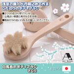 アートブラシ社 白馬毛のボディブラシ さくら アートブラシ