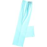 レディススラックス 269-11(サックス) LL KAZEN