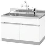 実験用流し台 拡張タイプ DWAシリーズ アズワン