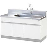 実験用流し台 ステンレス SUS304 DWFシリーズ アズワン