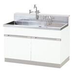 実験用流し台 緊急用洗眼器付き DWBシリーズ アズワン