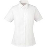 半袖シャツブラウス ESB442(ホワイト)19ゴウ カーシーカシマ