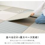 い草風置き畳 コトリナ 萩原