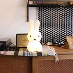 ファーストライト MrMaria