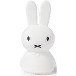 シャインライト MrMaria